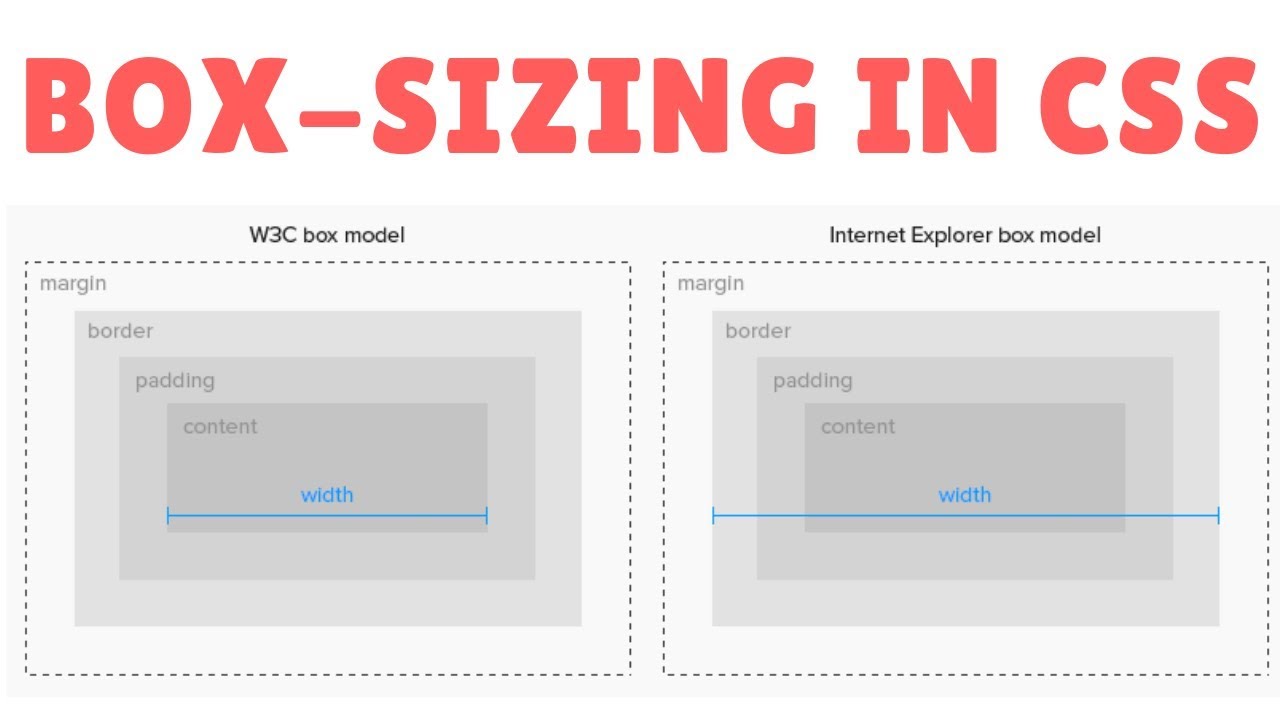 Css размер страницы. Box CSS. Box-sizing: border-Box;. Box-sizing html. Box модель html.